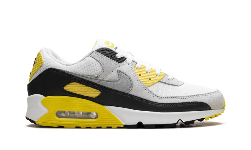 Nike Air Max Air Max 90 'White Lightning'